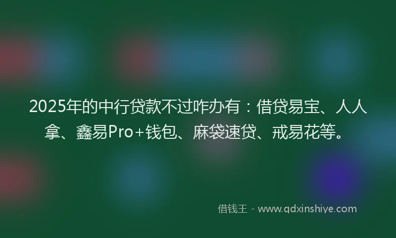 2025年的中行贷款不过咋办有：借贷易宝、人人拿、鑫易Pro+钱包、麻袋速贷、戒易花等。