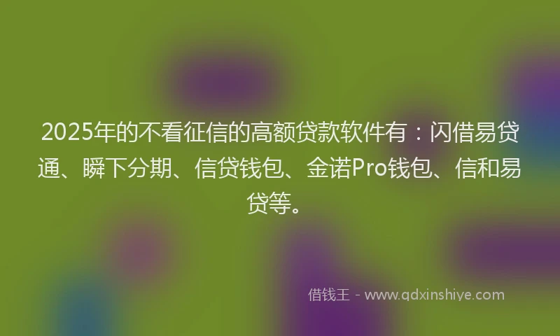 2025年的不看征信的高额贷款软件有：闪借易贷通、瞬下分期、信贷钱包、金诺Pro钱包、信和易贷等。