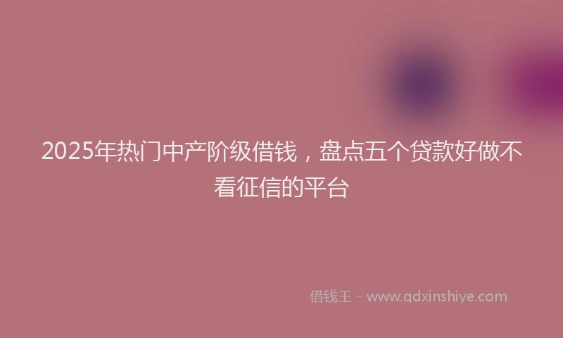 2025年热门中产阶级借钱，盘点五个贷款好做不看征信的平台