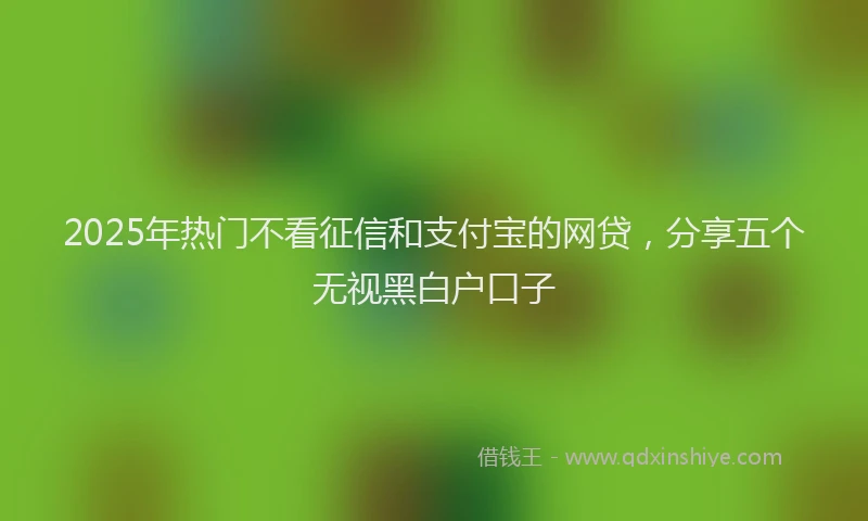 2025年热门不看征信和支付宝的网贷，分享五个无视黑白户口子