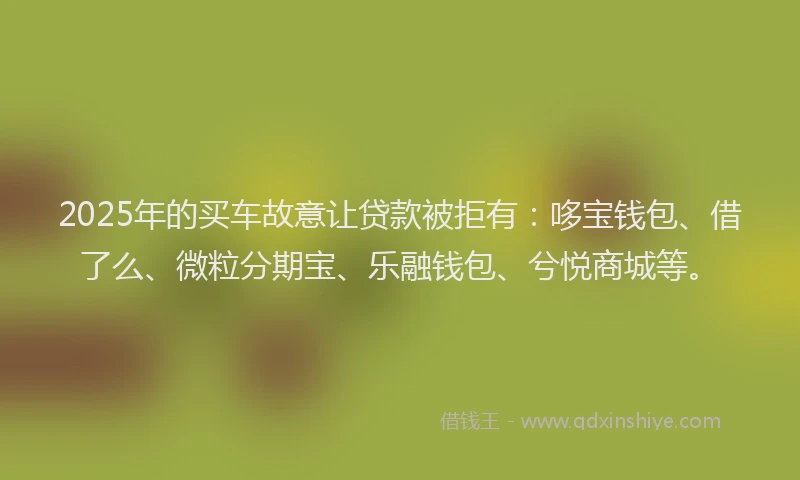 2025年的买车故意让贷款被拒有：哆宝钱包、借了么、微粒分期宝、乐融钱包、兮悦商城等。