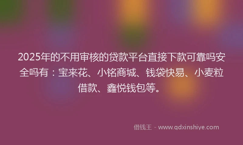 2025年的不用审核的贷款平台直接下款可靠吗安全吗有：宝来花、小铭商城、钱袋快易、小麦粒借款、鑫悦钱包等。