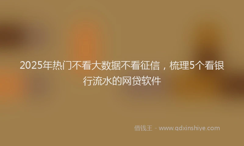 2025年热门不看大数据不看征信，梳理5个看银行流水的网贷软件
