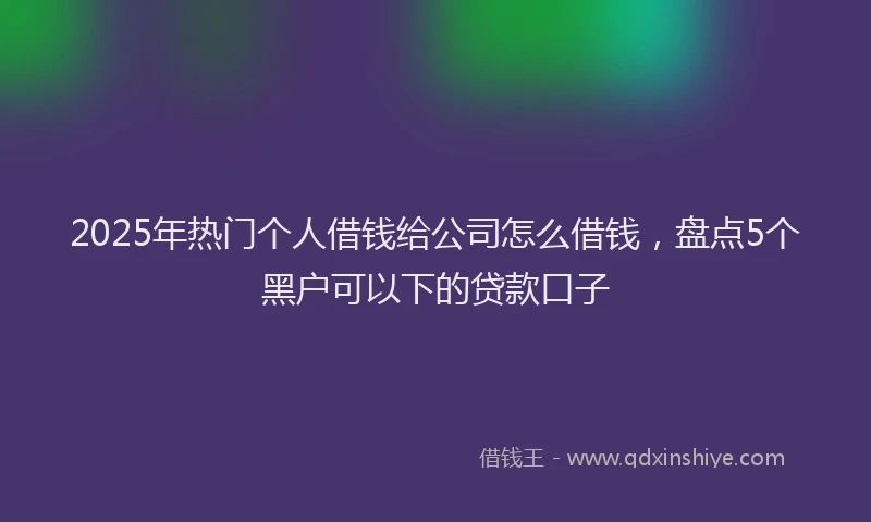 2025年热门个人借钱给公司怎么借钱，盘点5个黑户可以下的贷款口子