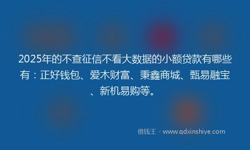 2025年的不查征信不看大数据的小额贷款有哪些有：正好钱包、爱木财富、秉鑫商城、甄易融宝、新机易购等。