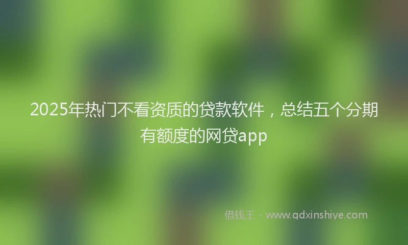 2025年热门不看资质的贷款软件，总结五个分期有额度的网贷app