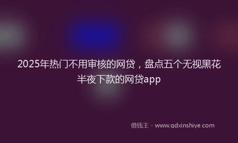 2025年热门不用审核的网贷，盘点五个无视黑花半夜下款的网贷app