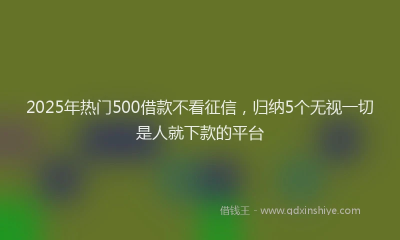 2025年热门500借款不看征信，归纳5个无视一切是人就下款的平台