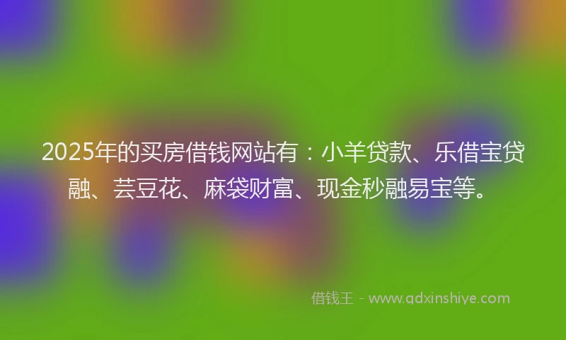 2025年的买房借钱网站有：小羊贷款、乐借宝贷融、芸豆花、麻袋财富、现金秒融易宝等。