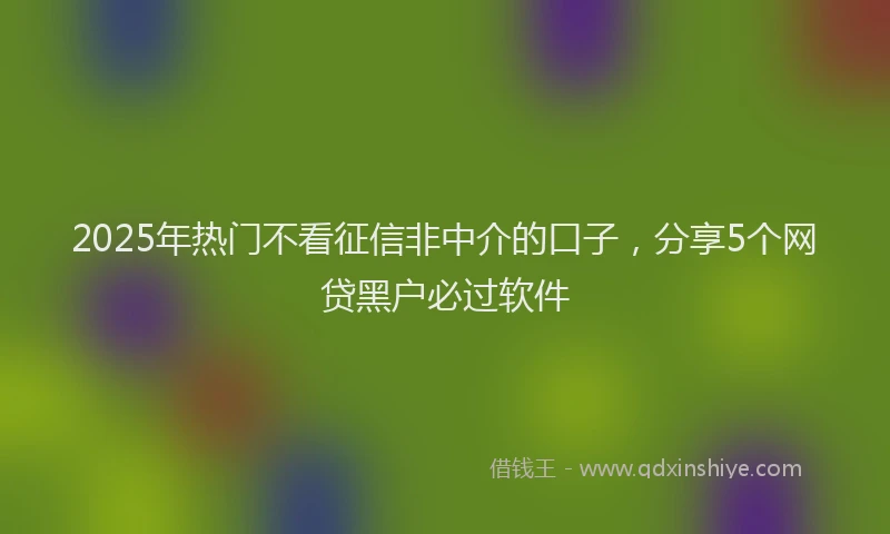 2025年热门不看征信非中介的口子，分享5个网贷黑户必过软件