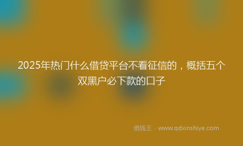 2025年热门什么借贷平台不看征信的，概括五个双黑户必下款的口子
