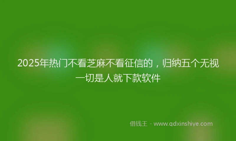 2025年热门不看芝麻不看征信的，归纳五个无视一切是人就下款软件