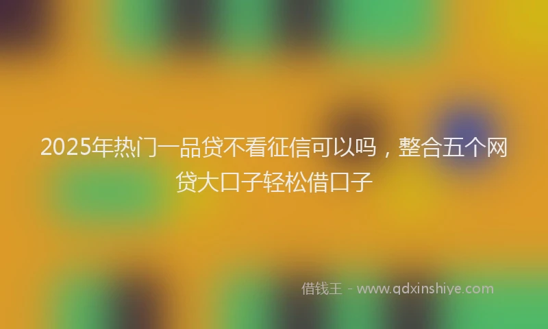 2025年热门一品贷不看征信可以吗，整合五个网贷大口子轻松借口子