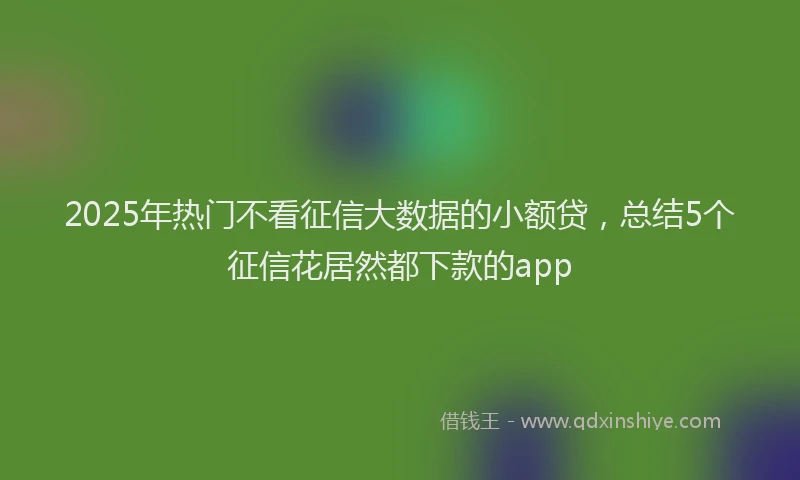 2025年热门不看征信大数据的小额贷，总结5个征信花居然都下款的app