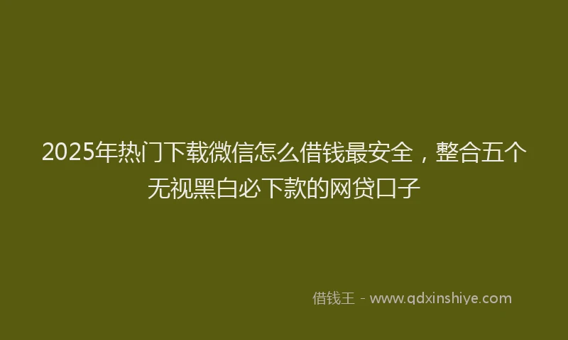 2025年热门下载微信怎么借钱最安全，整合五个无视黑白必下款的网贷口子