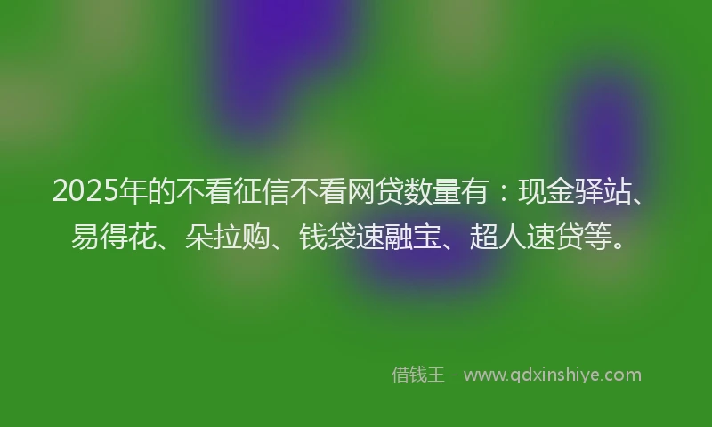 2025年的不看征信不看网贷数量有：现金驿站、易得花、朵拉购、钱袋速融宝、超人速贷等。