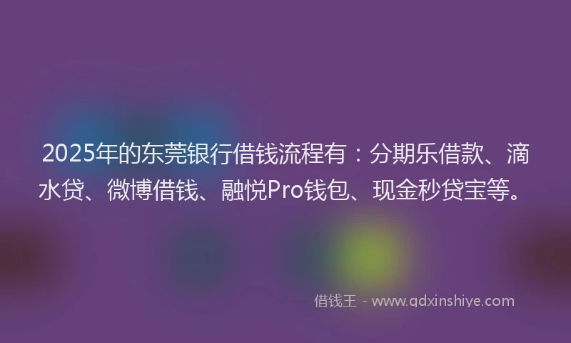 2025年的东莞银行借钱流程有：分期乐借款、滴水贷、微博借钱、融悦Pro钱包、现金秒贷宝等。