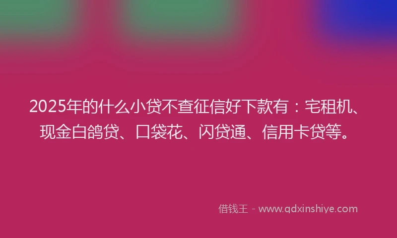 2025年的什么小贷不查征信好下款有：宅租机、现金白鸽贷、口袋花、闪贷通、信用卡贷等。
