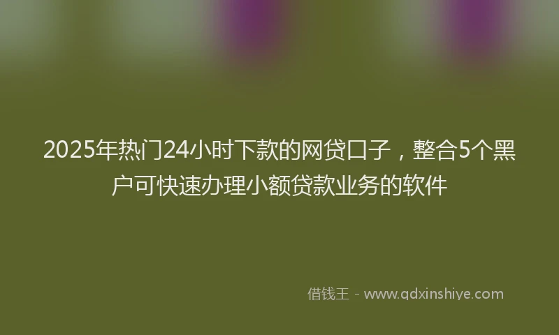 2025年热门24小时下款的网贷口子，整合5个黑户可快速办理小额贷款业务的软件