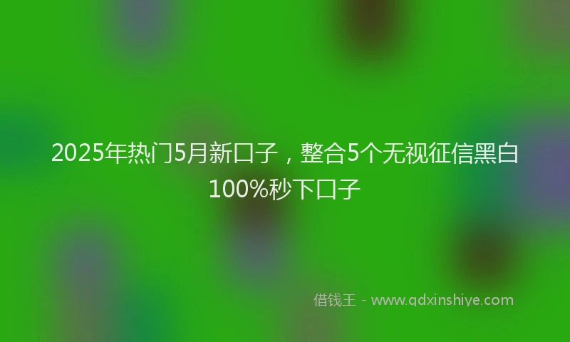 2025年热门5月新口子，整合5个无视征信黑白100%秒下口子