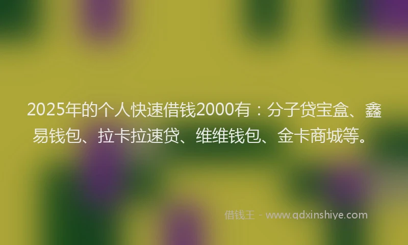 2025年的个人快速借钱2000有：分子贷宝盒、鑫易钱包、拉卡拉速贷、维维钱包、金卡商城等。
