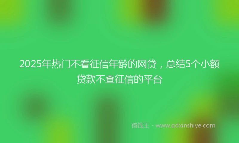 2025年热门不看征信年龄的网贷，总结5个小额贷款不查征信的平台