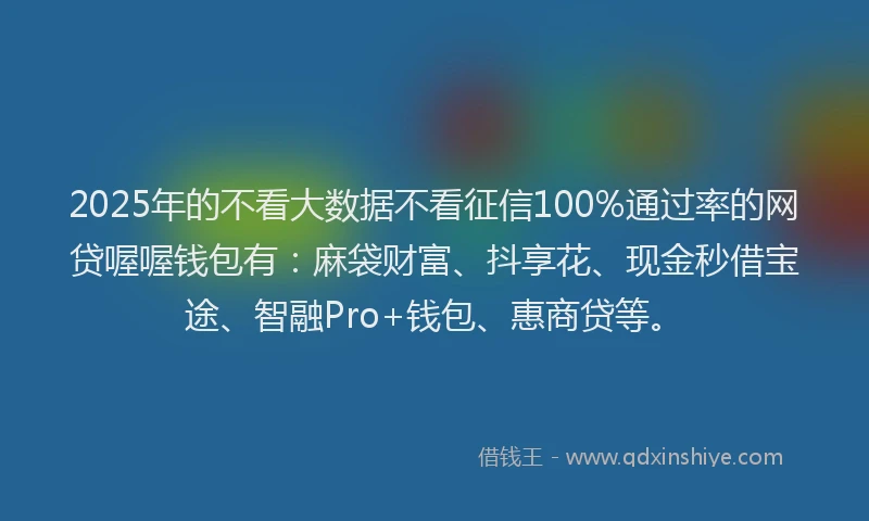 2025年的不看大数据不看征信100%通过率的网贷喔喔钱包有：麻袋财富、抖享花、现金秒借宝途、智融Pro+钱包、惠商贷等。