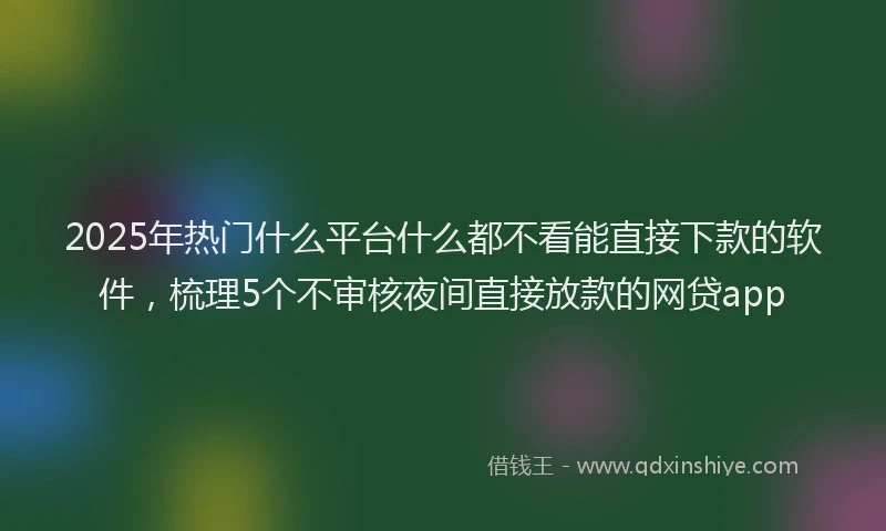 2025年热门什么平台什么都不看能直接下款的软件，梳理5个不审核夜间直接放款的网贷app