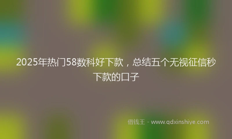 2025年热门58数科好下款，总结五个无视征信秒下款的口子