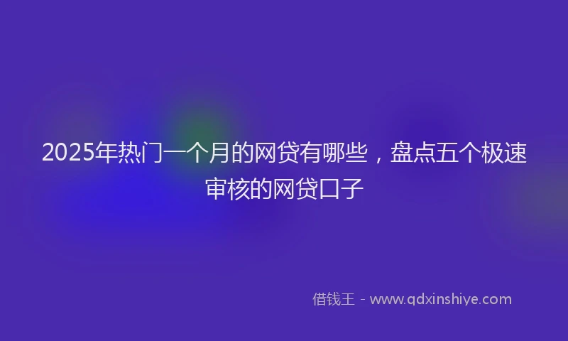 2025年热门一个月的网贷有哪些，盘点五个极速审核的网贷口子
