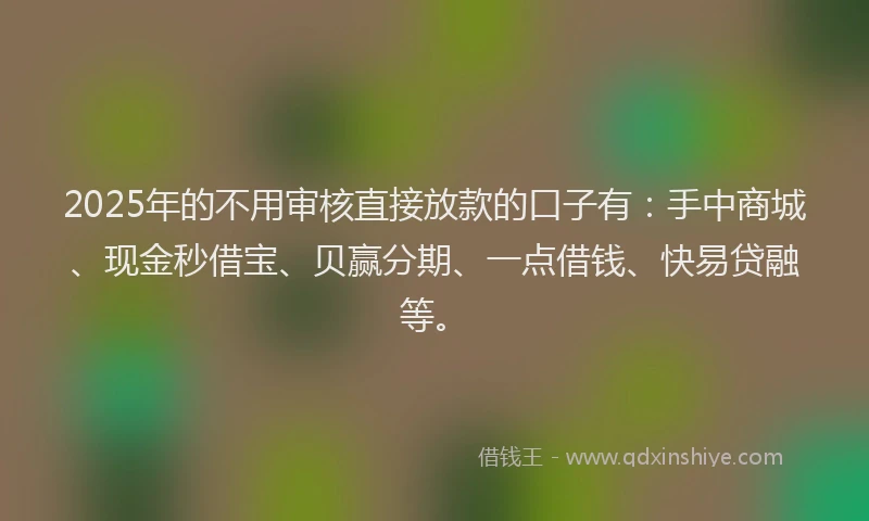 2025年的不用审核直接放款的口子有：手中商城、现金秒借宝、贝赢分期、一点借钱、快易贷融等。