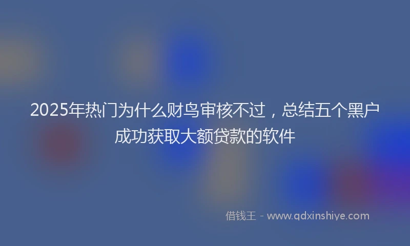 2025年热门为什么财鸟审核不过，总结五个黑户成功获取大额贷款的软件