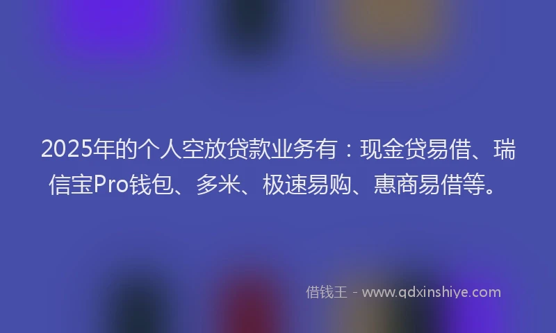 2025年的个人空放贷款业务有：现金贷易借、瑞信宝Pro钱包、多米、极速易购、惠商易借等。