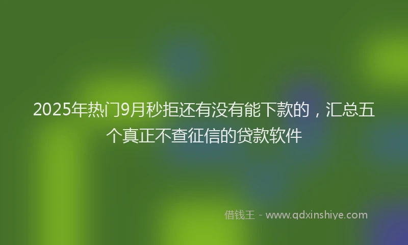 2025年热门9月秒拒还有没有能下款的，汇总五个真正不查征信的贷款软件