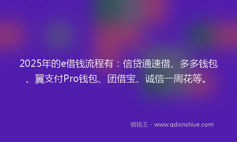 2025年的e借钱流程有：信贷通速借、多多钱包、翼支付Pro钱包、团借宝、诚信一周花等。
