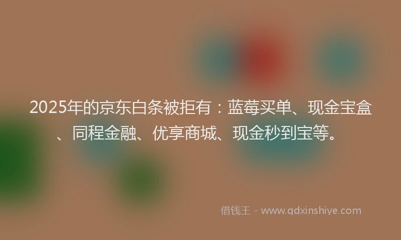 2025年的京东白条被拒有：蓝莓买单、现金宝盒、同程金融、优享商城、现金秒到宝等。