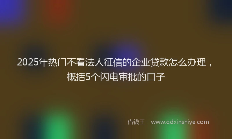 2025年热门不看法人征信的企业贷款怎么办理，概括5个闪电审批的口子