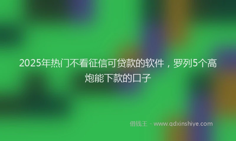 2025年热门不看征信可贷款的软件，罗列5个高炮能下款的口子