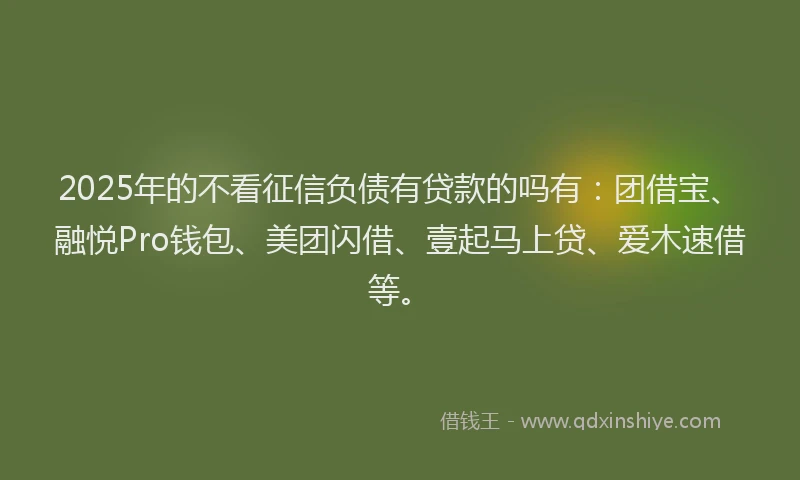 2025年的不看征信负债有贷款的吗有：团借宝、融悦Pro钱包、美团闪借、壹起马上贷、爱木速借等。