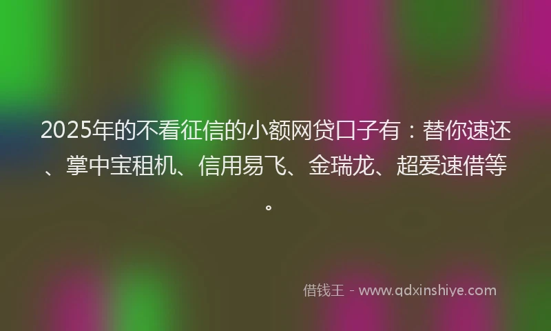 2025年的不看征信的小额网贷口子有：替你速还、掌中宝租机、信用易飞、金瑞龙、超爱速借等。
