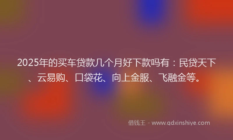 2025年的买车贷款几个月好下款吗有：民贷天下、云易购、口袋花、向上金服、飞融金等。