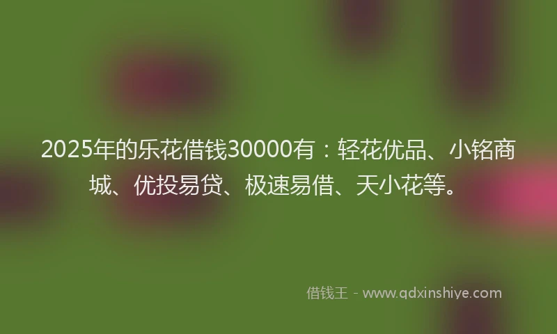 2025年的乐花借钱30000有：轻花优品、小铭商城、优投易贷、极速易借、天小花等。