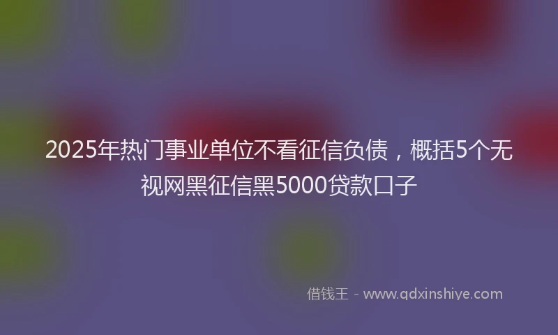 2025年热门事业单位不看征信负债，概括5个无视网黑征信黑5000贷款口子