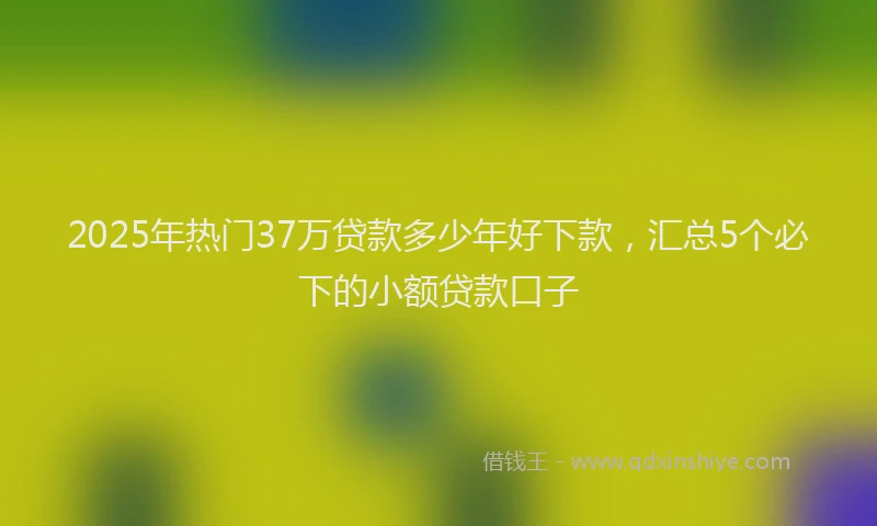 2025年热门37万贷款多少年好下款，汇总5个必下的小额贷款口子