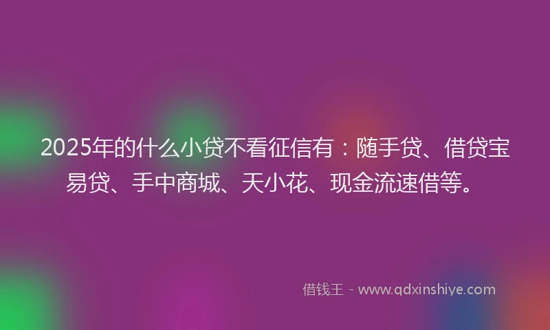 2025年的什么小贷不看征信有：随手贷、借贷宝易贷、手中商城、天小花、现金流速借等。