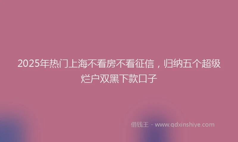 2025年热门上海不看房不看征信，归纳五个超级烂户双黑下款口子