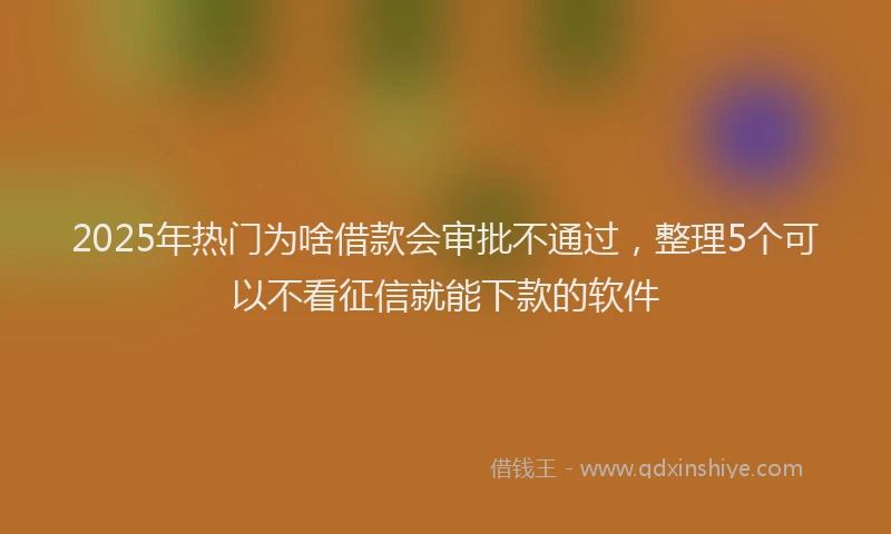 2025年热门为啥借款会审批不通过，整理5个可以不看征信就能下款的软件