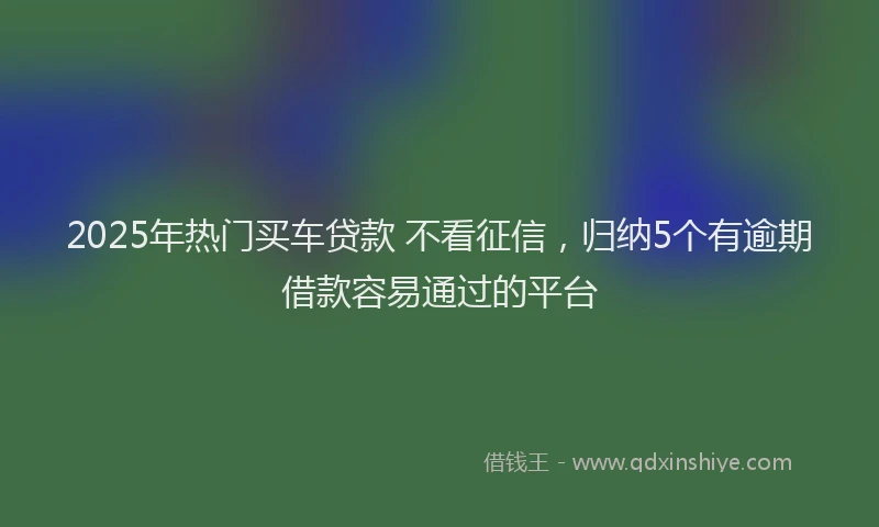 2025年热门买车贷款 不看征信，归纳5个有逾期借款容易通过的平台