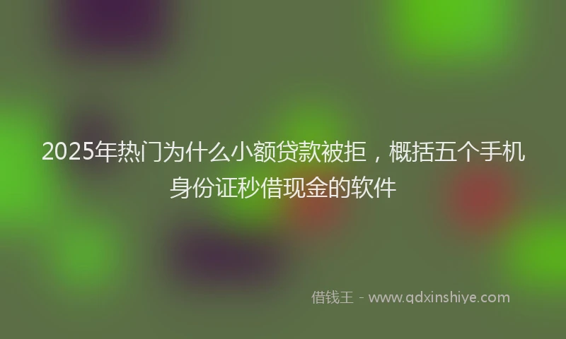 2025年热门为什么小额贷款被拒，概括五个手机身份证秒借现金的软件