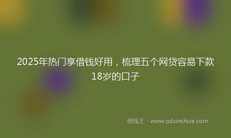 2025年热门享借钱好用，梳理五个网贷容易下款18岁的口子
